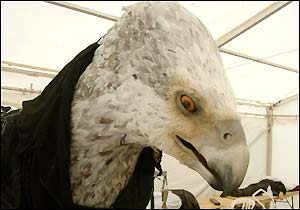 buckbeak.jpg