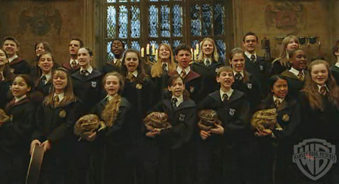 choirgianttoads.jpg