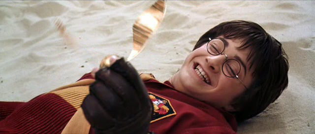 gotthesnitch.jpg