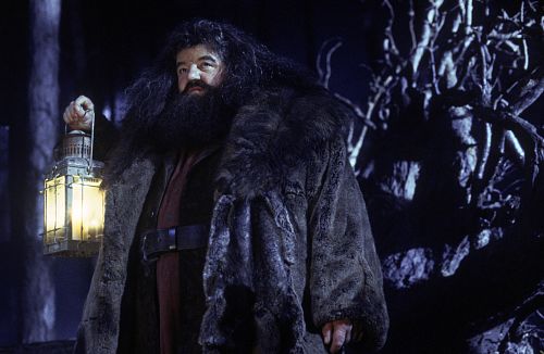 hagrid.jpg