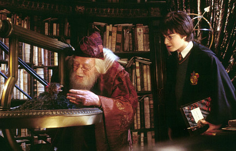 harrydumbledore.jpg