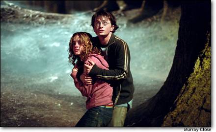 harryshieldinghermione.jpg